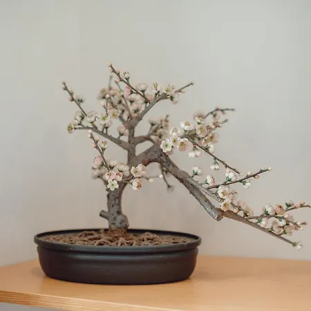 River Eyes At * 포르투