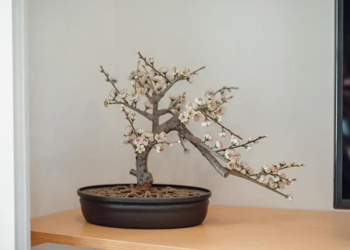 River Eyes At * Oporto